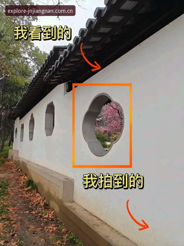江南平台更新日志vs旧版对比：v2.9.5升级背后的技术革新与体验差异